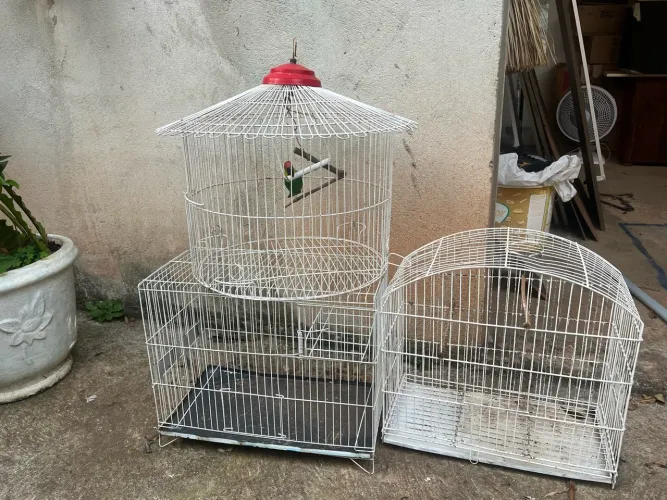 Gaiolas AS TRÊS POR esse valor 