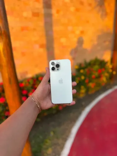 iPhone 13 Pro Max | 128gb