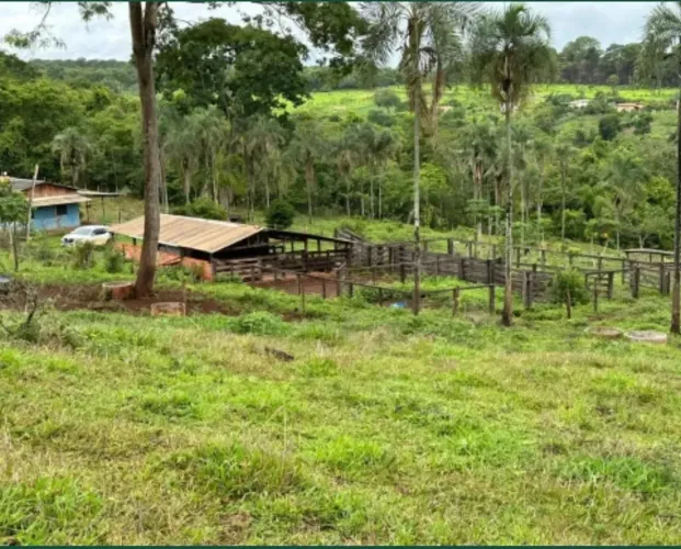 Fazendinha extra!l para venda com 290400 metros quadrados em Zona Rural - Leopoldo de Bulh