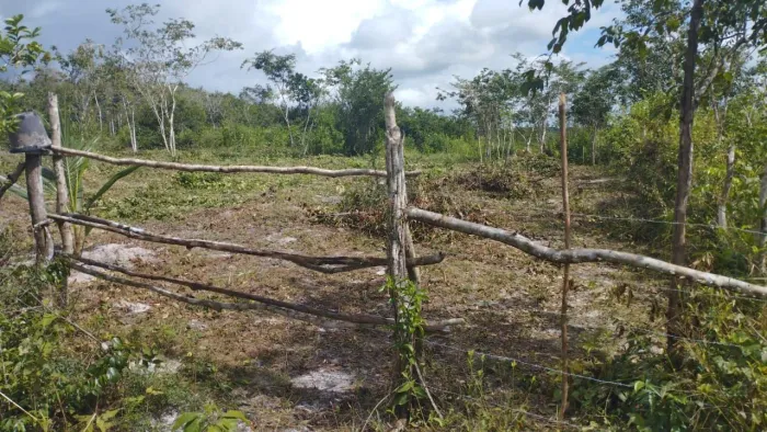 Vendo terreno Presidente Juscelino 45x45