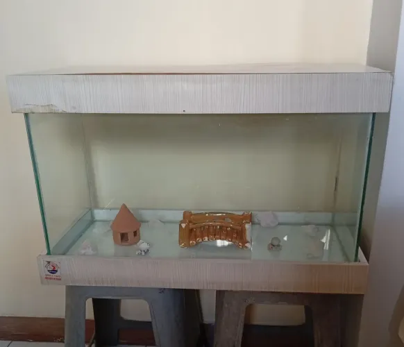 aquário grande e barato pra vender logo