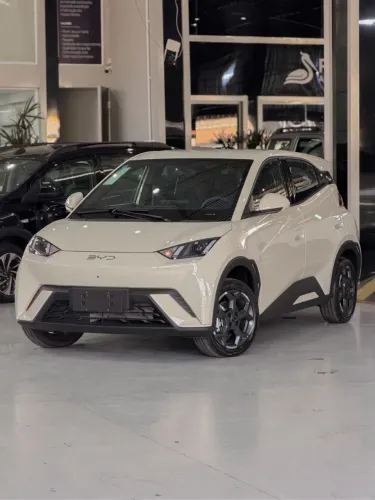 BYD Dolphin Mini (Elétrico) 2027
