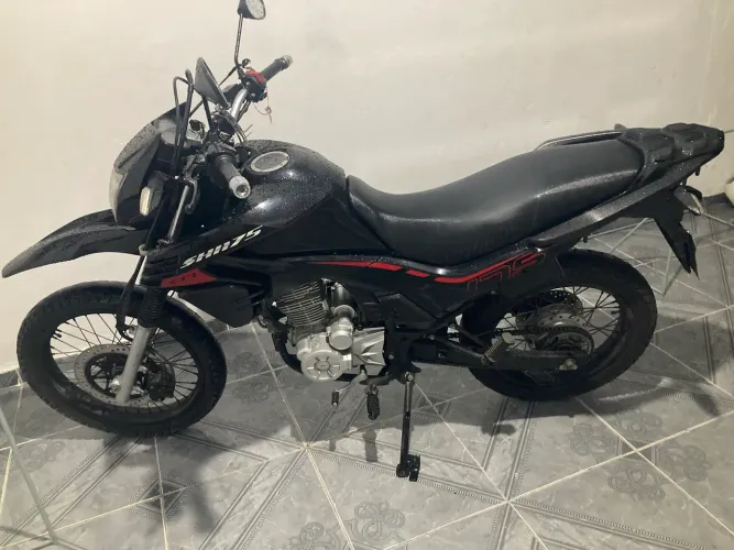 SHI175