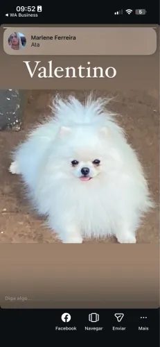Lulu doação 