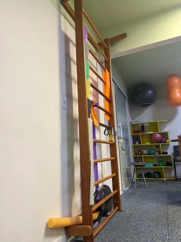 Espaldar FISIOTERAPIA 