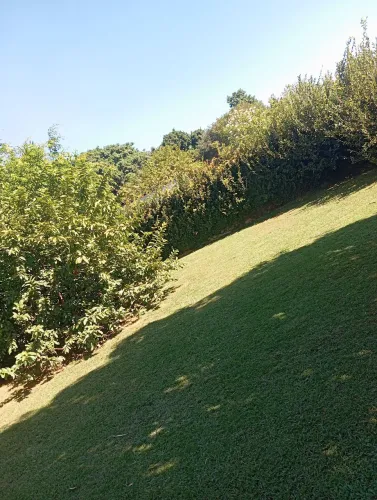 Limpeza podas roçagem disponível
