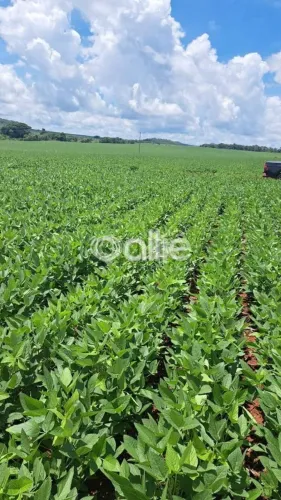Venda FAZENDA SIDROLANDIA MS Brasil