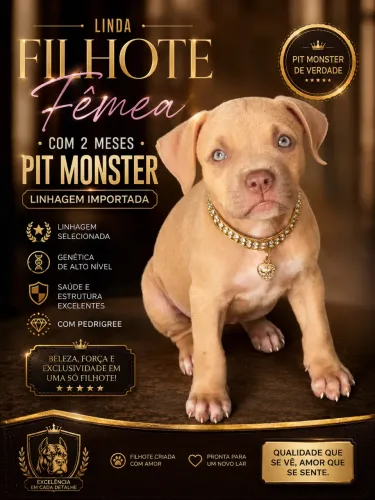 Cachorra pit monster