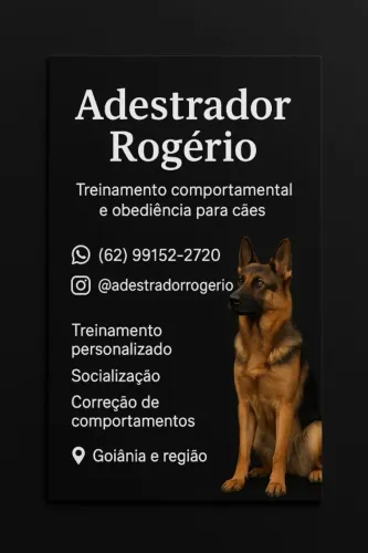 adestrador de caes
