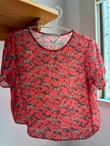 Blusa Zara