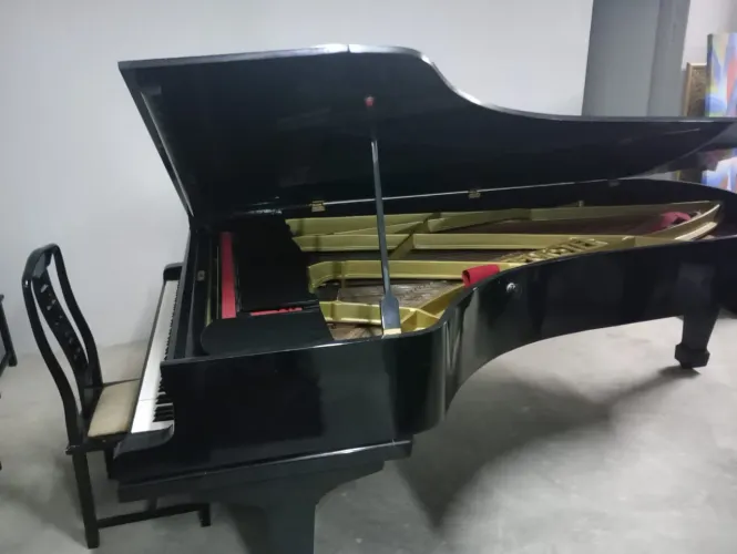 Piano August Forster cauda inteira magnífico 