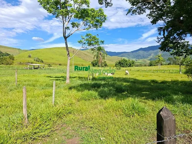 SITIO DE ALTA PRODUTIVIDADE À VENDA EM PIQUETE/SP