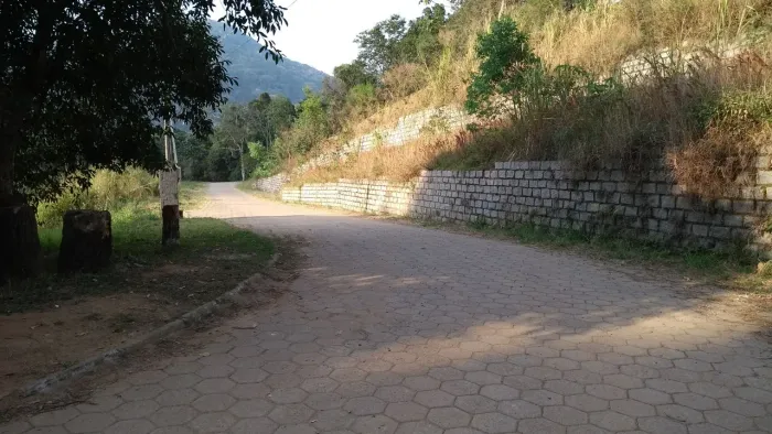 Terreno no Rio Tavares Sul da ilha