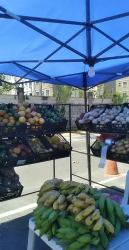 Suporte para hortifrute