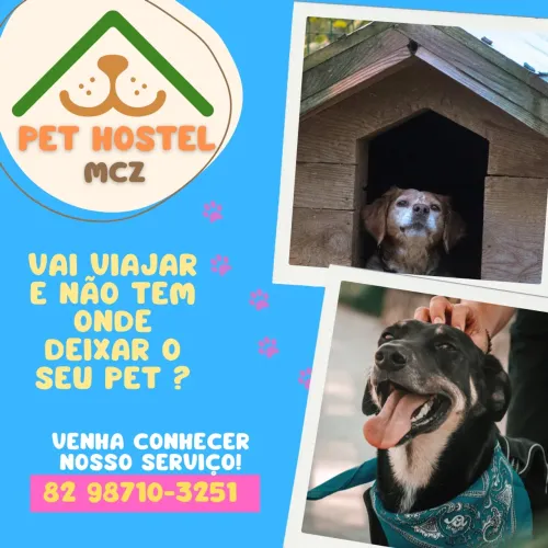 Hospedagem para pets