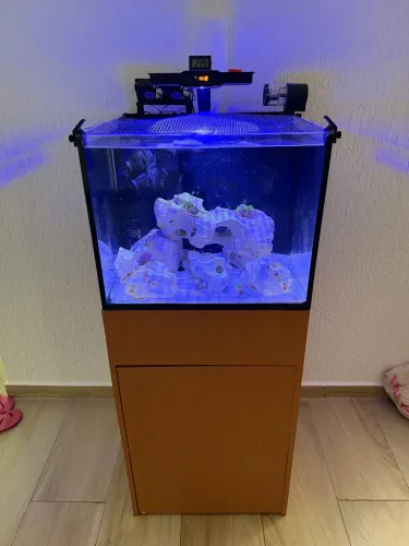 Aquario Marinho Completo 120lt 50x50x40 Com Sump