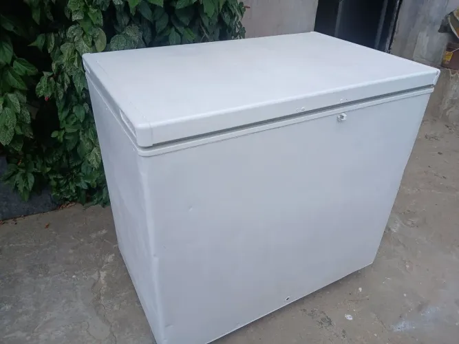 Frezeer Horizontal de 311 Litros