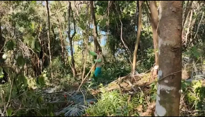 excelente lotes de terreno