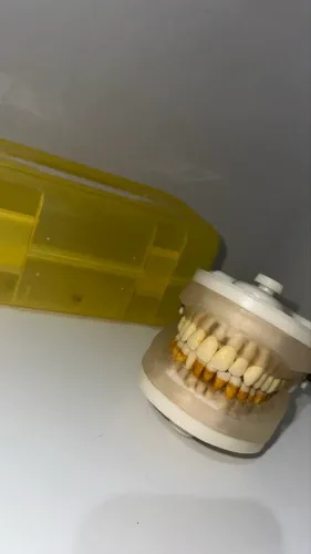 Manequim Periodontia com maleta