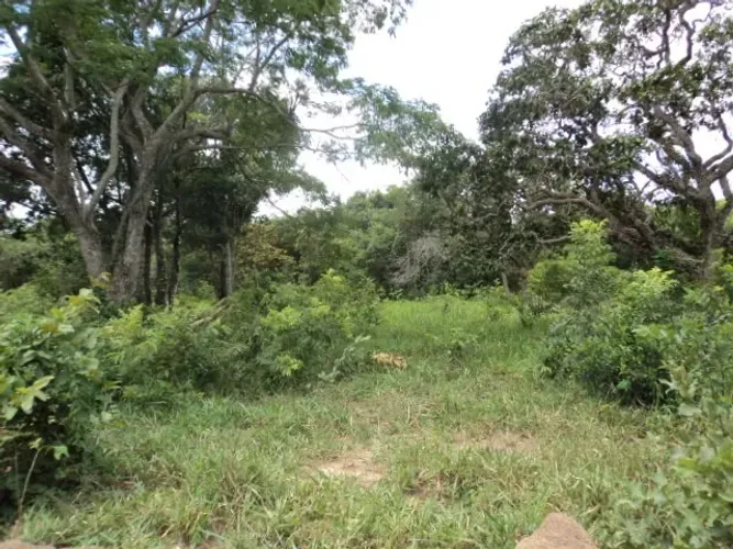 Pará de Minas - 23.300 m² - Só R$ 15.000,00 de entrada