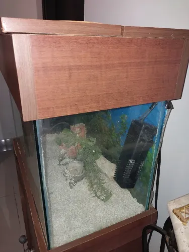 Aquario