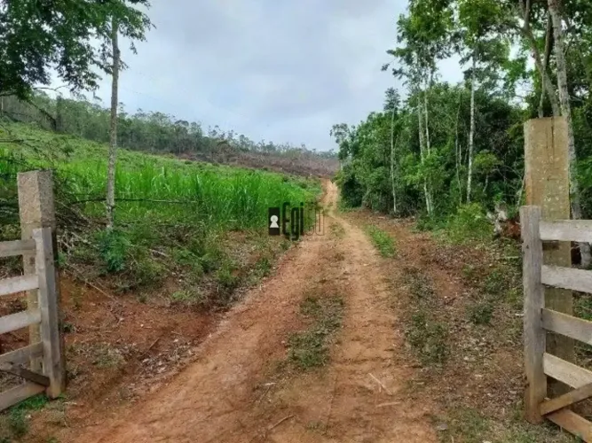 Sítio com 1 dormitório à venda, 180000 m² por R$ 420.000,00 - Centro - Pedro Teixeira/MG