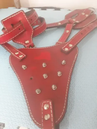 Coleira  peitoral de couro vermelho u bom estado  estou doando 
