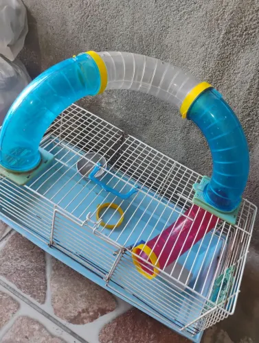 Casa de hamster ?