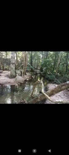 Lindo terreno com igarapé em alter do chão