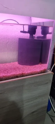 Vendo aquario completo de 90 litros com móvel, filtro especial e luz neon