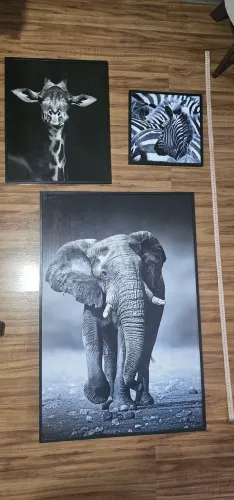 Jogo Kit 3 Quadros Animais Preto e Branco - sem marcas de uso, Estado de novo
