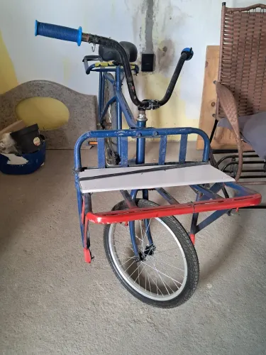 Bicicleta de carga 