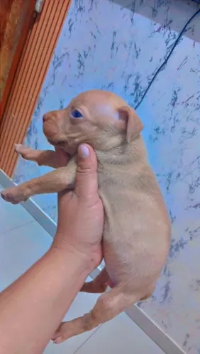 Disponível 300,00