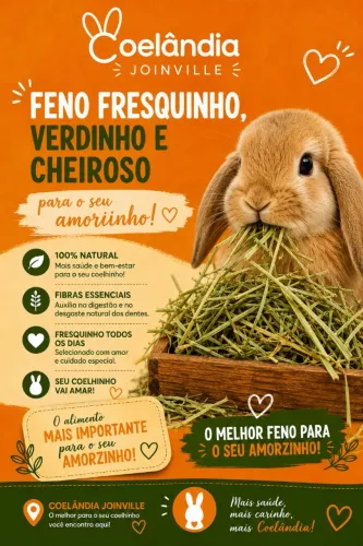 Feno