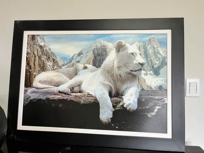 Vendo quadro de tigre