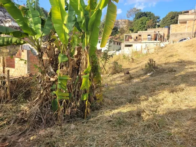 Lote / Terreno à venda em Santa Luzia