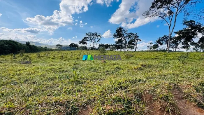 FAZENDA À VENDA - 71 HECTARES - ITAPECERICA (MG)