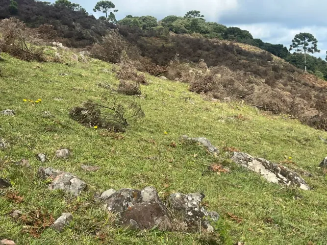 Sítio com 7 hectares em Urubici - próx. ao Pericó 