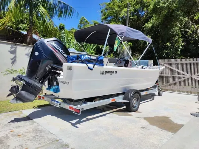Panga 19