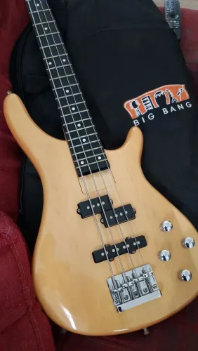Giannini PJ