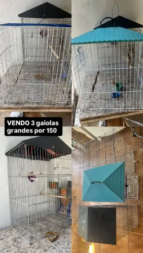 Gaiolas