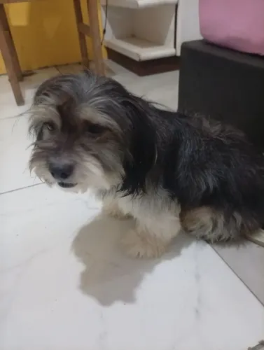 Doação 