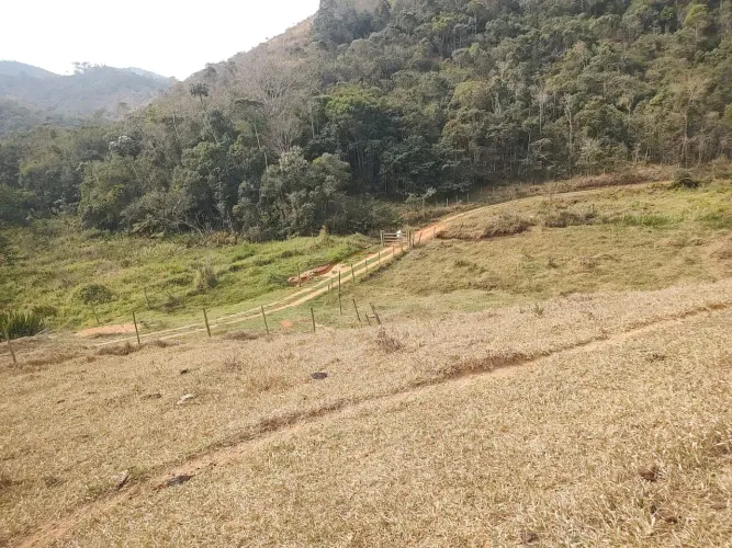 Grande oportunidade 139 hectares.