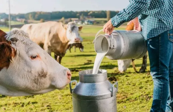 AGRO INVESTIMENTO MÉDIO PRODUTOR 