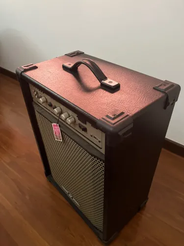 Caixa de Som amplificadora Frahm 10 pol