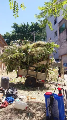 Limpeza de lote