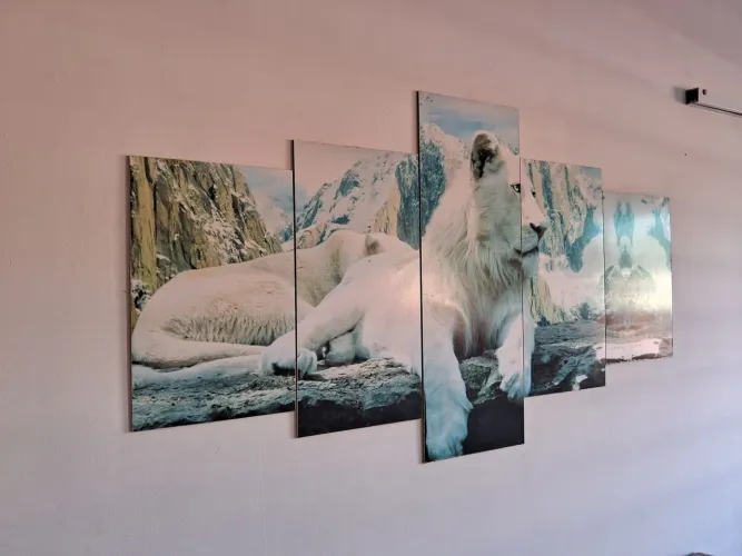 Vendo Quadro Decorativo Leão Branco! Extra!
