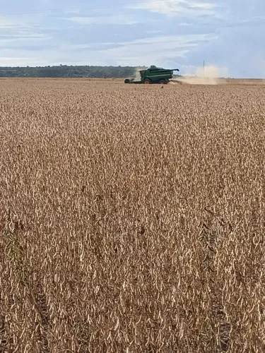 Fazenda de arrendamento 2.030 hec planta do em Paranatinga MT.