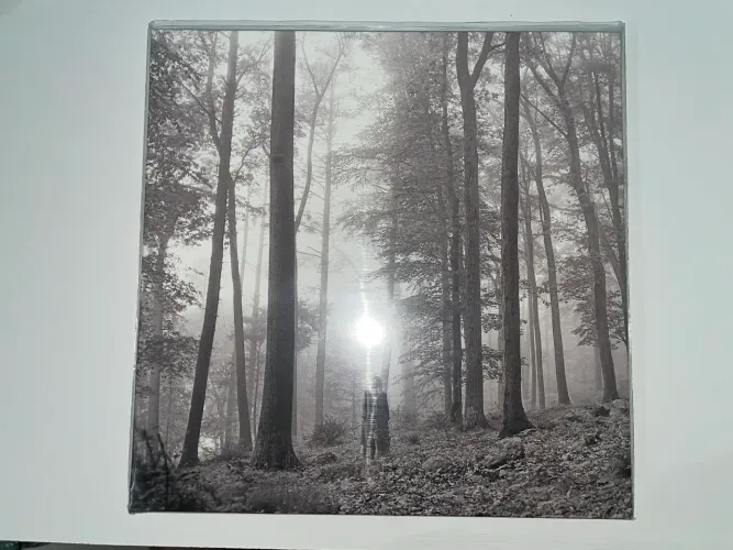 Taylor Swift - folklore (vinil)
