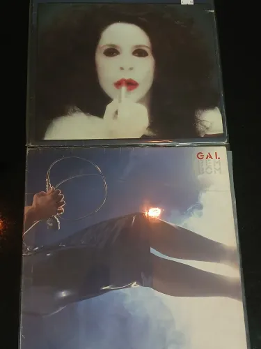 Discos de Vinil Gal Costa - valor unitário 
